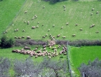 agriturismo_b_03