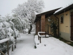 giardino-con-neve