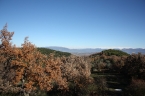 Panorama Veduta dall'Agriturismo Colleciglio