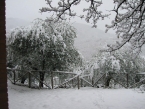 scale-in-giardino-con-neve